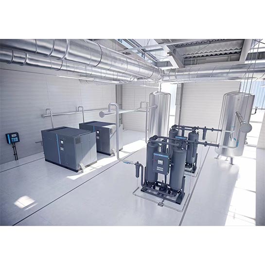 Compressed Air Purification System