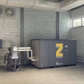 Oil-free screw air compressor
